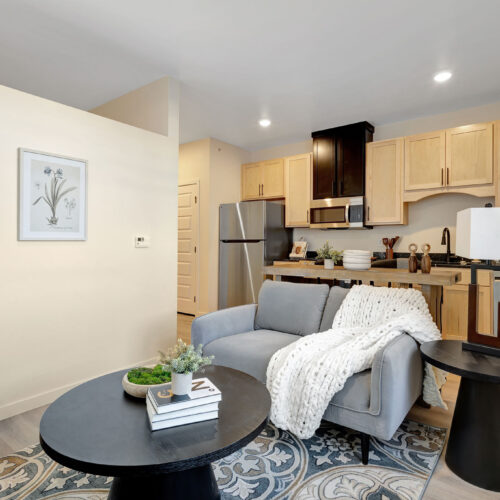 furnished living room